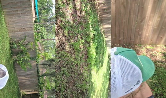queenkay.sparklee TikTok Live — Aug 23, 2026, 5:15 PM