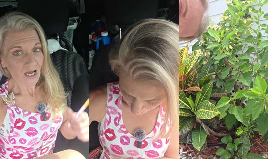queenkay.sparklee TikTok Live — Sep 3, 2026, 6:43 PM