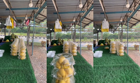 qystinaaaaaa TikTok Live — Aug 25, 2026, 5:17 AM