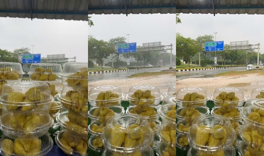 qystinaaaaaa TikTok Live — Aug 25, 2026, 8:09 AM