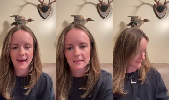 racheldoubleyou TikTok Live — Oct 4, 2026, 12:46 AM