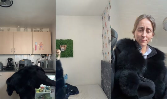 rachelkaren___ TikTok Live — Oct 2, 2026, 6:58 AM