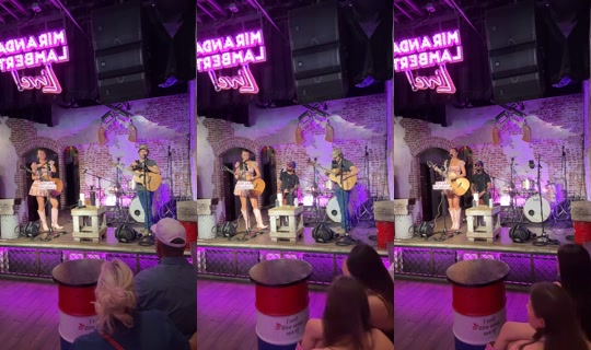 rachlovesturtles TikTok Live — Oct 6, 2026, 8:24 PM
