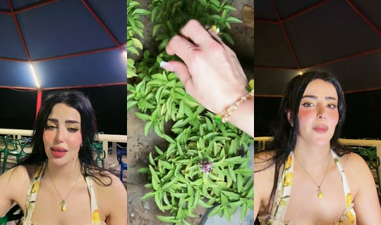 raniii.luv TikTok Live — Aug 24, 2026, 9:25 PM