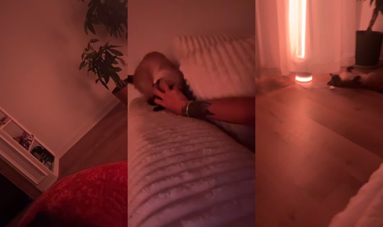 raquellll_7 TikTok Live — Oct 3, 2026, 8:38 AM