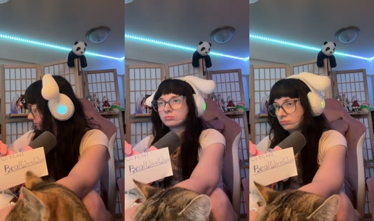realwoo.woo TikTok Live — Aug 26, 2026, 2:53 AM