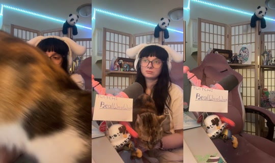 realwoo.woo TikTok Live — Aug 27, 2026, 9:42 PM