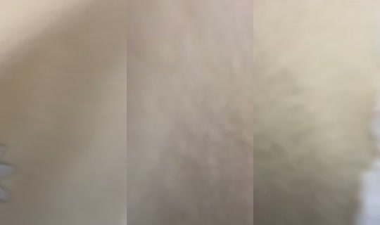 realwoo.woo TikTok Live — Oct 8, 2026, 8:51 PM