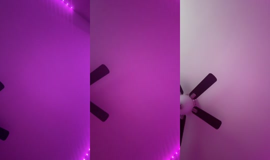realyazminmarie TikTok Live — Aug 24, 2026, 11:47 AM