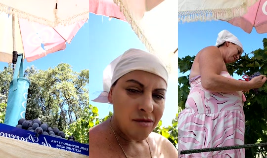 reginanaturii1 TikTok Live — Sep 1, 2026, 1:33 PM