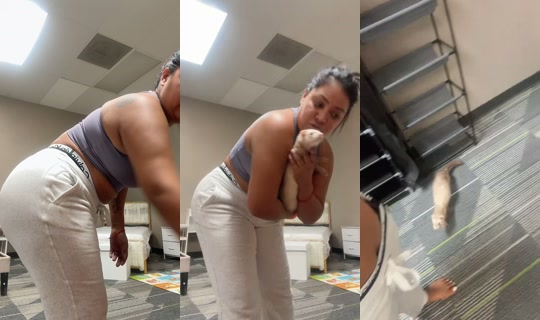 reina559baddie TikTok Live — Oct 3, 2026, 3:17 AM