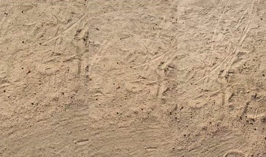 repar_valeria TikTok Live — Aug 28, 2026, 3:29 PM