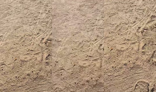 repar_valeria TikTok Live — Aug 28, 2026, 4:19 PM