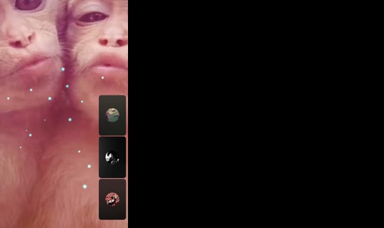 rfh40 TikTok Live — Aug 31, 2026, 3:04 AM