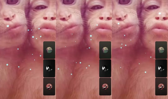 rfh40 TikTok Live — Aug 31, 2026, 3:33 AM