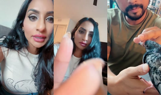 richellangel TikTok Live — Aug 24, 2026, 11:55 PM