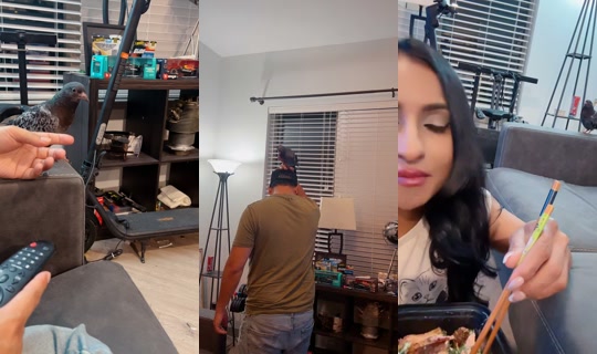 richellangel TikTok Live — Aug 25, 2026, 3:09 AM