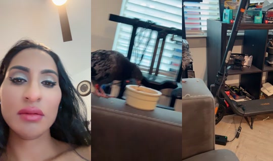richellangel TikTok Live — Aug 25, 2026, 11:52 PM