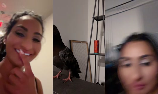 richellangel TikTok Live — Aug 26, 2026, 2:14 AM
