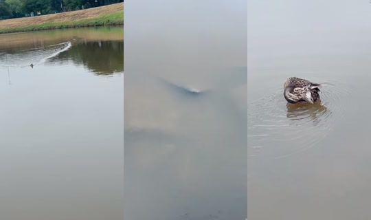 richellangel TikTok Live — Oct 3, 2026, 6:43 PM