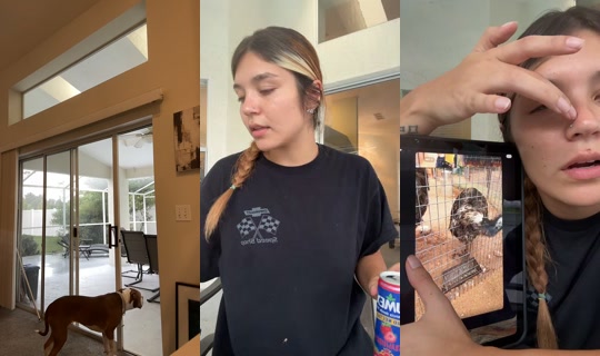 riley.castro TikTok Live — Aug 28, 2026, 9:33 PM