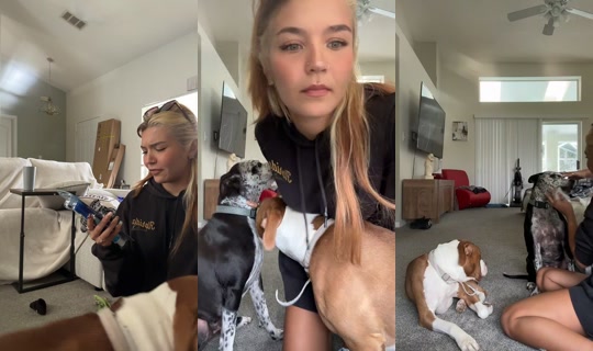 riley.castro TikTok Live — Oct 6, 2026, 6:12 PM