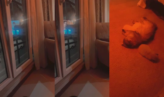 rojdaoslu TikTok Live — Sep 17, 2026, 9:26 PM