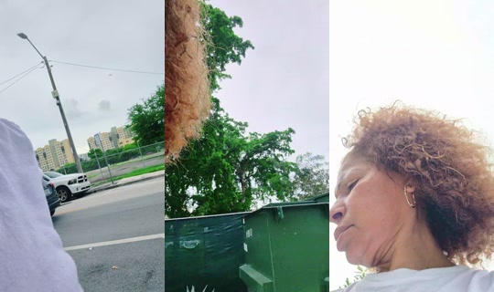 rosasanchez60 TikTok Live — Oct 3, 2026, 7:05 PM