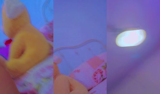 rosav3083 TikTok Live — Sep 29, 2026, 2:51 PM