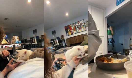 rosekemanuel TikTok Live — Oct 4, 2026, 1:01 AM