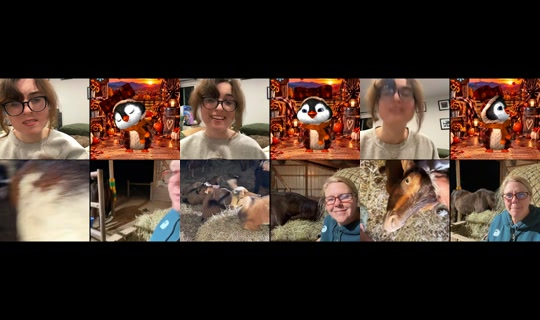 rosekemanuel TikTok Live — Oct 4, 2026, 3:04 AM