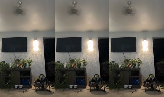 rosievibes725 TikTok Live — Oct 5, 2026, 3:05 AM
