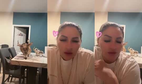 rossy4433 TikTok Live — Oct 3, 2026, 12:23 AM