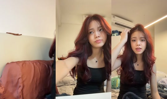 roxwillmakeit TikTok Live — Aug 29, 2026, 5:40 PM
