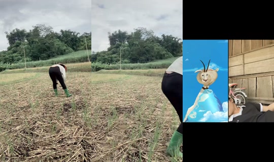 rully4899 TikTok Live — Oct 5, 2026, 2:02 AM