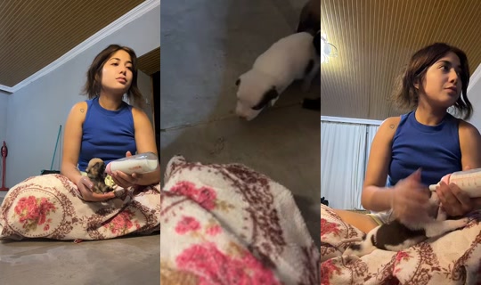 ruya_run56 TikTok Live — Aug 25, 2026, 5:47 PM