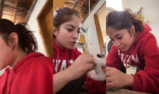 ruya_run56 TikTok Live — Oct 3, 2026, 1:01 PM