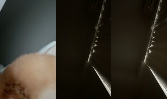 s_s_emi_s_s TikTok Live — Sep 29, 2026, 9:03 PM