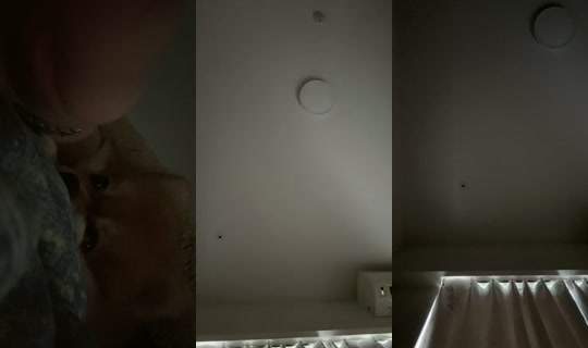 s_s_emi_s_s TikTok Live — Sep 30, 2026, 10:03 PM