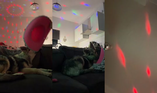 sacha.hannah1 TikTok Live — Aug 27, 2026, 1:22 AM