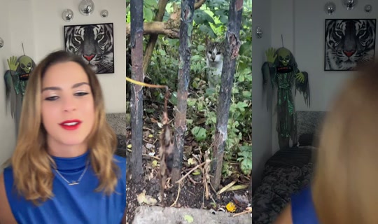 sacha.hannah1 TikTok Live — Aug 29, 2026, 6:03 PM