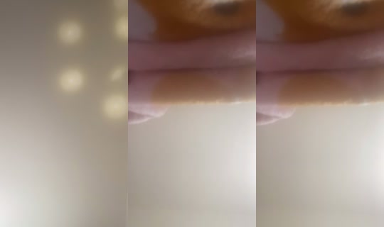 sadiejorae TikTok Live — Oct 2, 2026, 1:06 PM