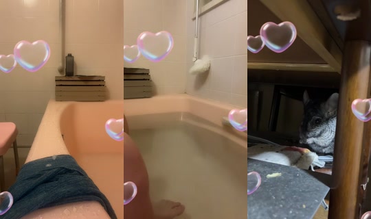 saku1105u TikTok Live — Aug 24, 2026, 11:56 AM