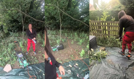 samsamxo19 TikTok Live — Aug 26, 2026, 12:29 PM