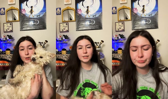 sangremafi0sa TikTok Live — Sep 14, 2026, 6:33 AM
