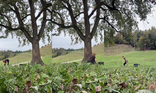 sarah.lumiiere TikTok Live — Oct 7, 2026, 12:15 PM