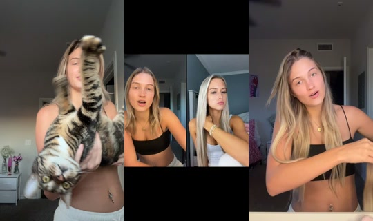 sarahelainehogan TikTok Live — Oct 7, 2026, 11:54 PM