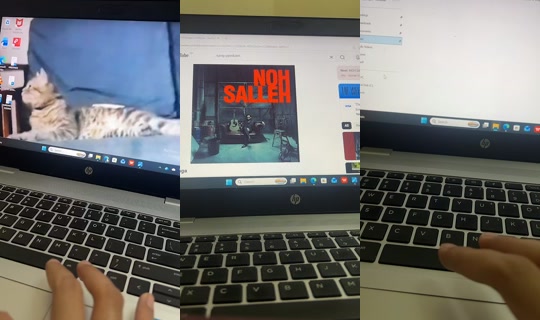 scha_shasha7 TikTok Live — Sep 6, 2026, 3:40 PM