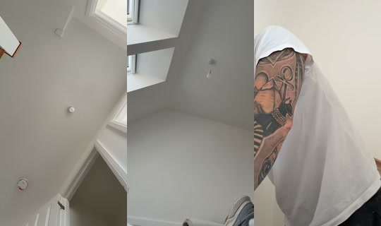 seanscarpets TikTok Live — Aug 20, 2026, 8:36 AM