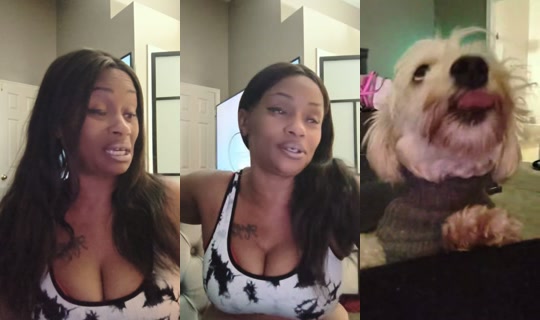 section8toni TikTok Live — Sep 29, 2026, 11:28 PM